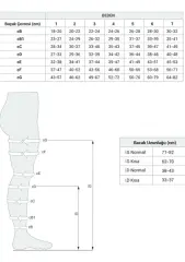 BA726 KÜLOTLU BURNU AÇIK CCL2 -BİOFİX