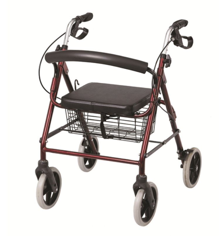 Poylin P580 Ekonomik Rollatör