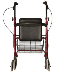 Poylin P580 Ekonomik Rollatör