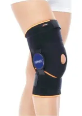 AÇI AYARLI DİZLİK